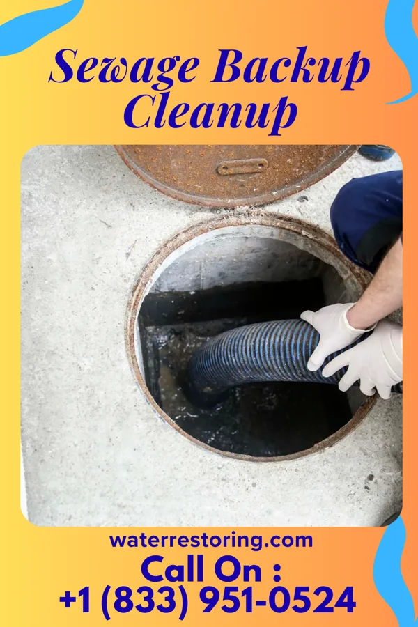 Sewage Backup Cleanup in Unionville, MO