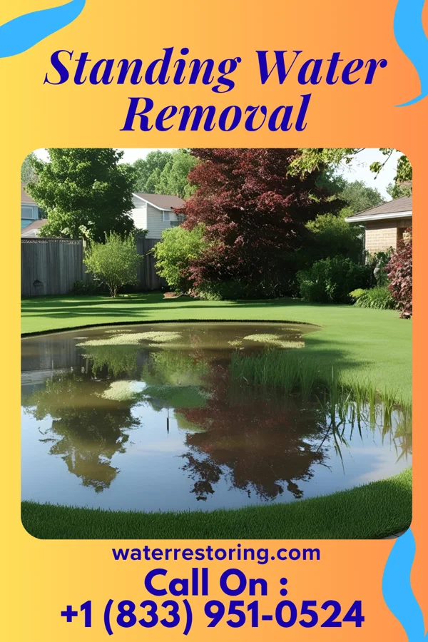 Standing Water Removal in Unionville, MO